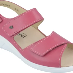 Anaco Donna Nube azalea